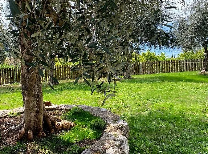 Anna E Marco Malcesine